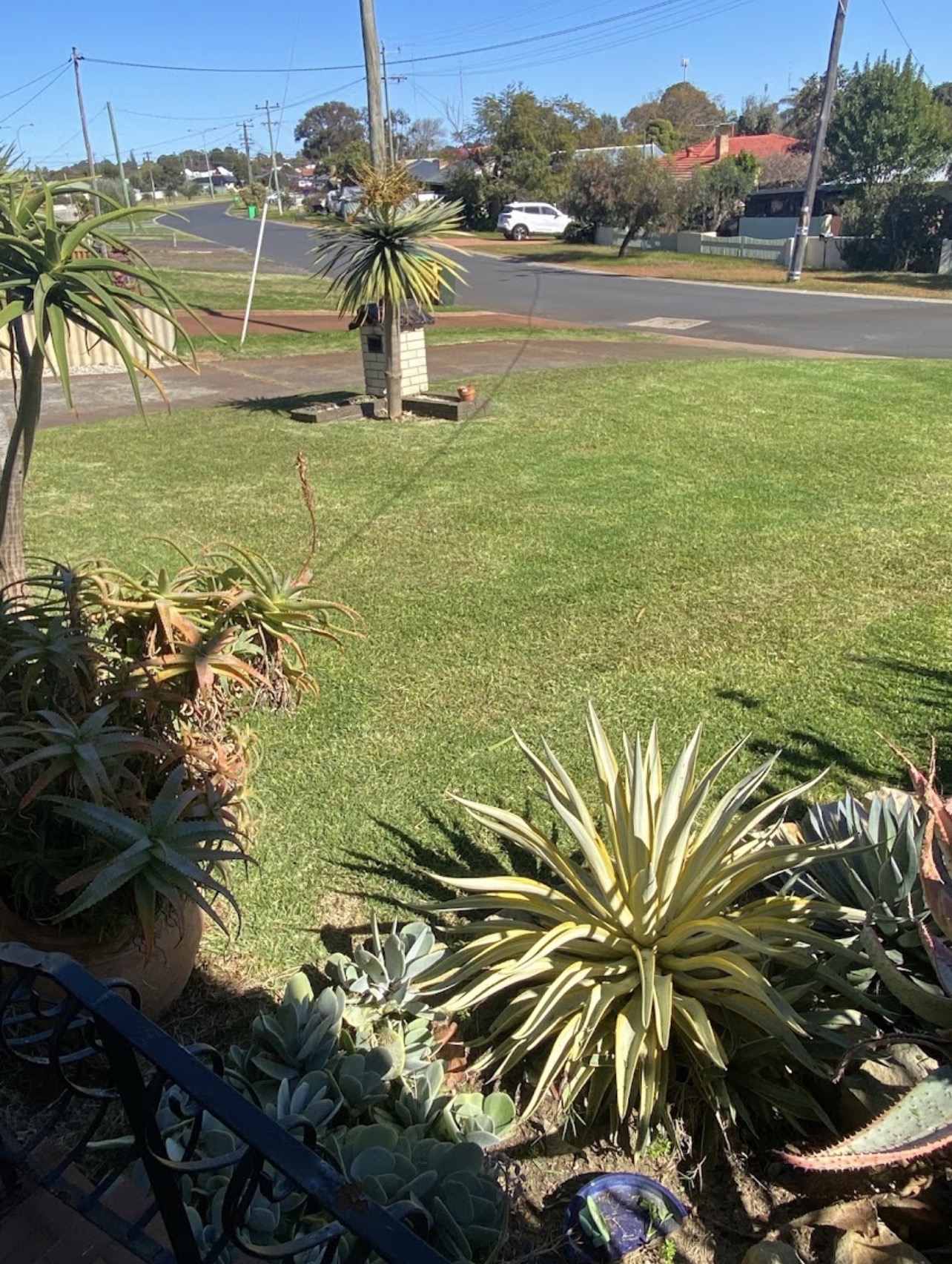 After: Lawn tidy-up