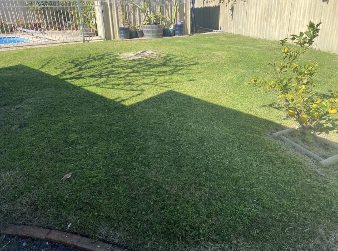 After: Backyard lawn tidy-up